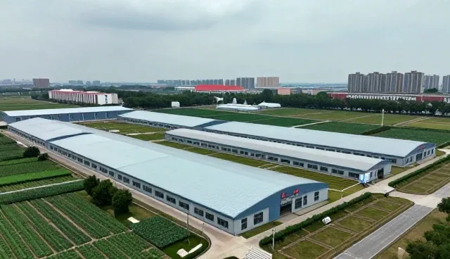 临床诊疗中常见问题及处理方法解析